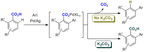 Cover image for Direct ortho-arylation of ortho-substituted benzoic acids: Overriding Pd-catalyzed protodecarboxylation
